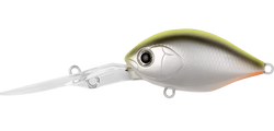 Daiwa Infeet Monster Rolling Crank 42DR