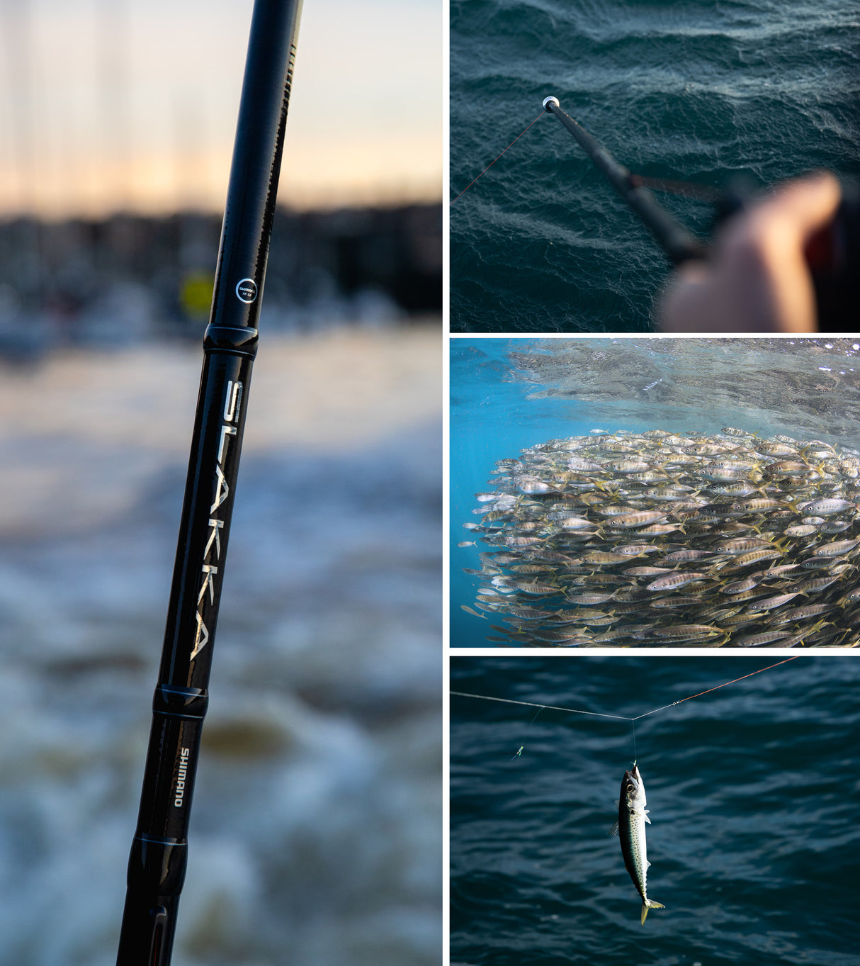 Shimano Slakka 7ft5in Sabiki Rod 2pc