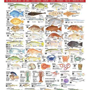 Fishing Guides/Books/Fish ID Cards