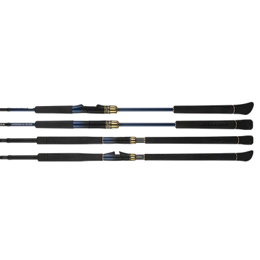 Daiwa Saltiga Expedition Travel Rod