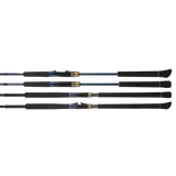 Daiwa Saltiga Expedition Travel Rod
