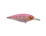 Jackall Super Squirrel 79 Flat SP Lure