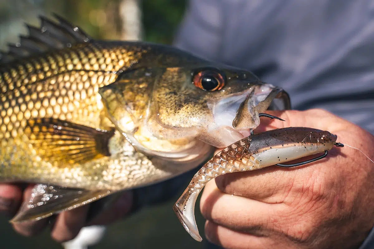 Deal 2 - Epic Paddle Stinger Pack