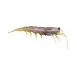 Prolure Clone Prawn 92mm Plastics