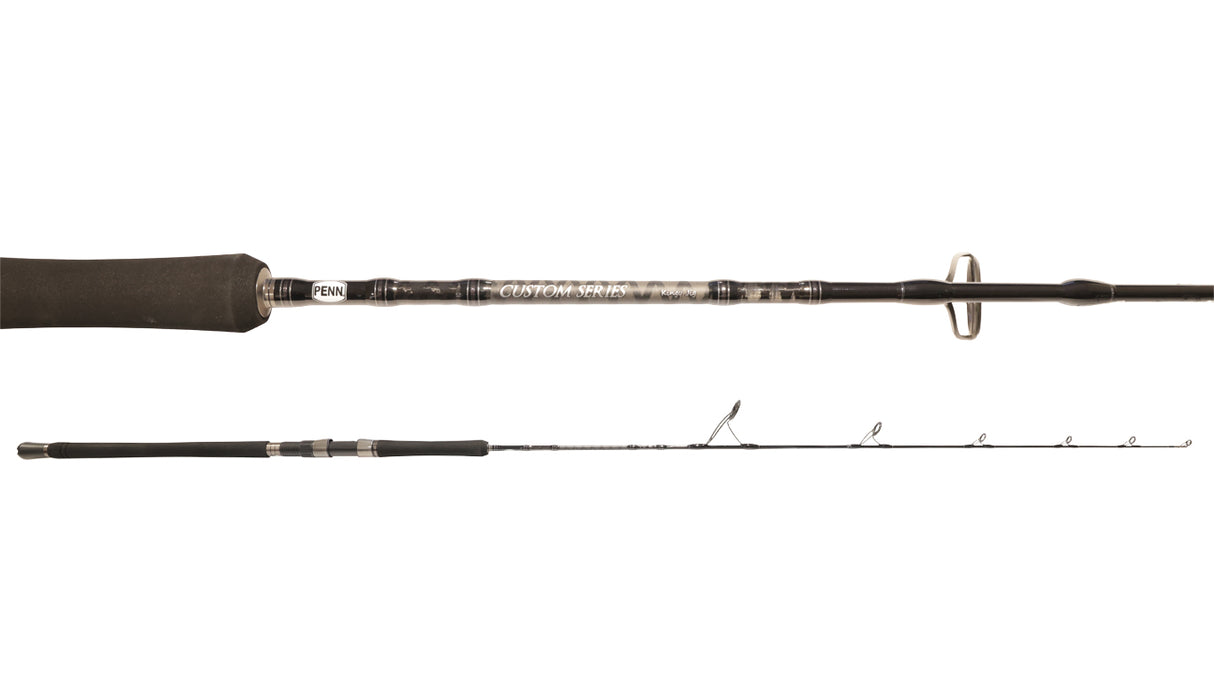 Penn Custom Series Rod