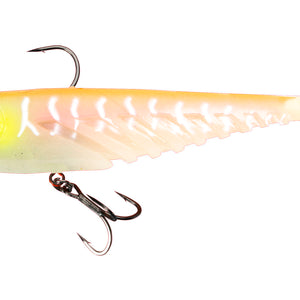 Swimbait/Glidebait