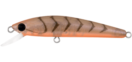 Daiwa Presso Minnow 60F Lure