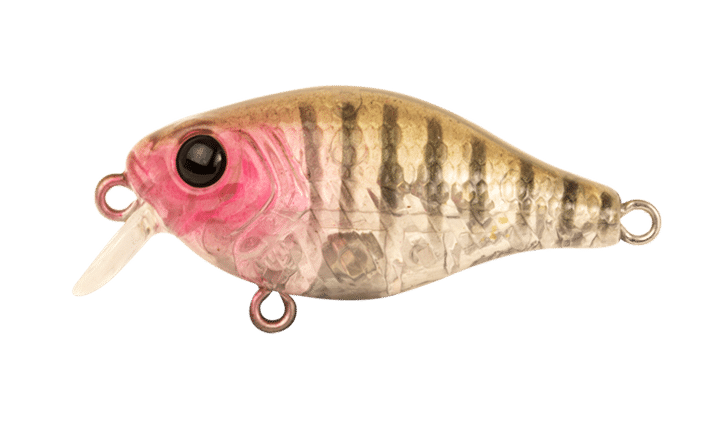 Berkley Pro-Tech Brimz 38mm Shallow Crank Lure