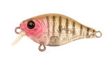 Berkley Pro-Tech Brimz 38mm Shallow Crank Lure