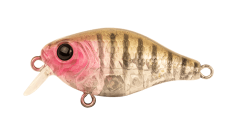Berkley Pro-Tech Brimz 38mm Shallow Crank Lure