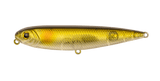 OLIVE SHAD