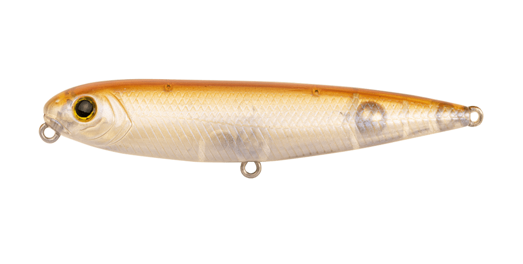 RUSTY SHAD