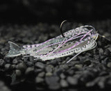 Zman ChatterShad 3.5in Soft Plastics