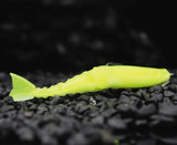 Zman ChatterShad 4.5in Soft Plastics