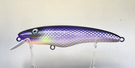 Croaker Jewie Jewel Hardbody