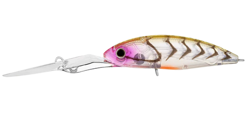 Daiwa Infeet Spike 53EXDR Lure