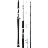Daiwa 25 Seaborg DG Rods