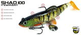 Molix Shad 100mm Rigged Plastic