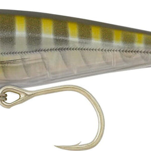 Popper/Stickbait Lures