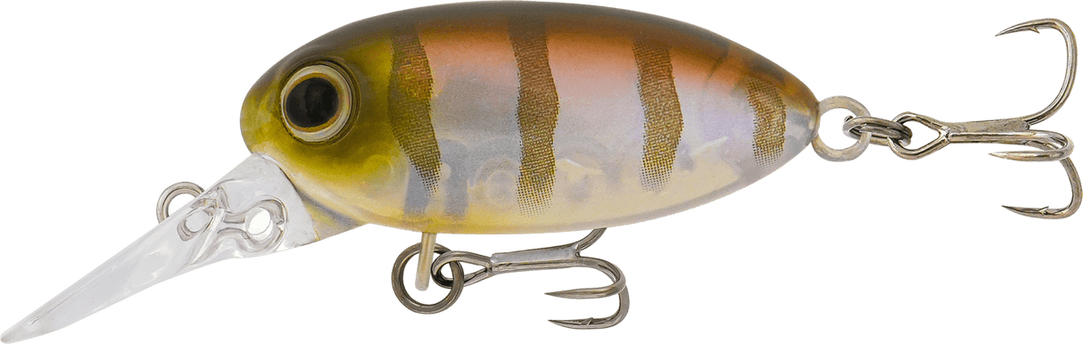 Samaki Redic MF32 Beetle Bug