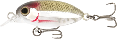 Samaki Redic SF32 Beetle Bug