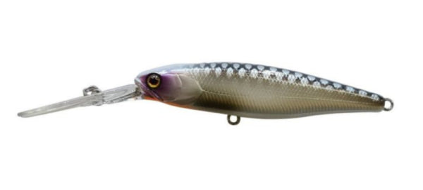 Jackall Squirrel 67SP Silent Diver