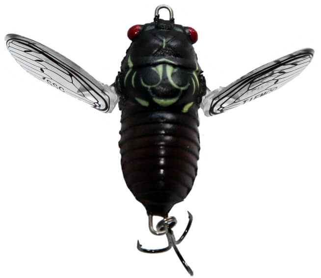 Tiemco Soft Shell Cicada EVO Floating 5g 42mm