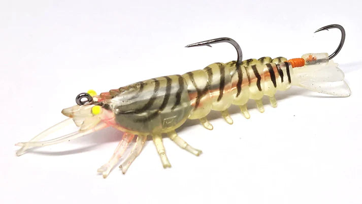 Barambah Stinger Shrimp 90F