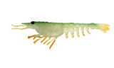 Nomad Live Ops Switcher Shrimp 2.3in Soft Plastic