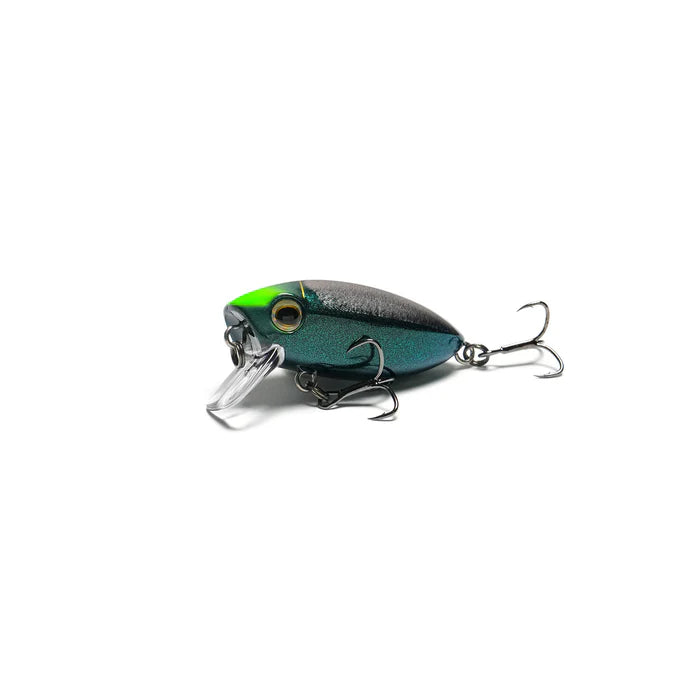 Samaki Redic SF40 Footy Bug