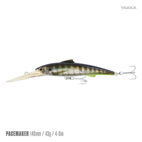 Samaki Pacemaker 140DD Diving Lure