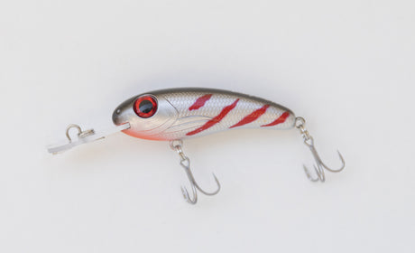 Silly Fish Mirage 55 Shallow Diver