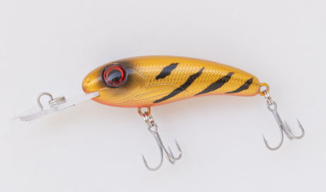 Silly Fish Mirage 55 Shallow Diver