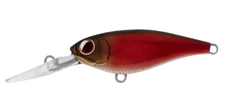 Daiwa Infeet Kodachi 40SF Lure