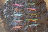 Berkley Shimma Shrimp 85mm