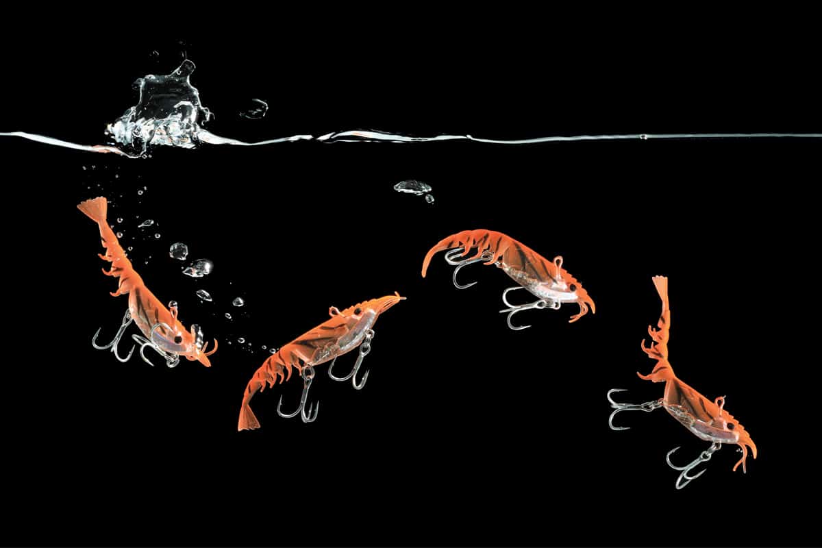 Berkley Shimma Shrimp 85mm