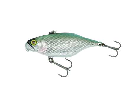 D-Style Jackall TN50 Type D SS Lipless Crankbait