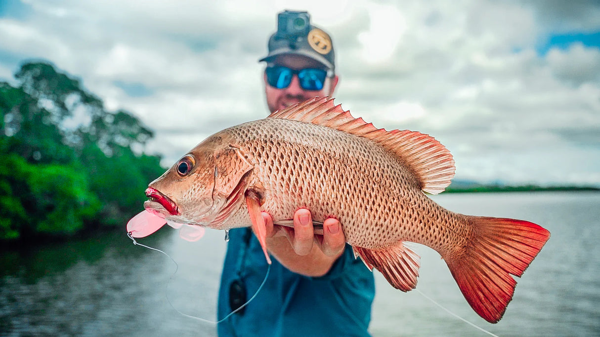 Mintoss Skip Frog - 4in Plastics