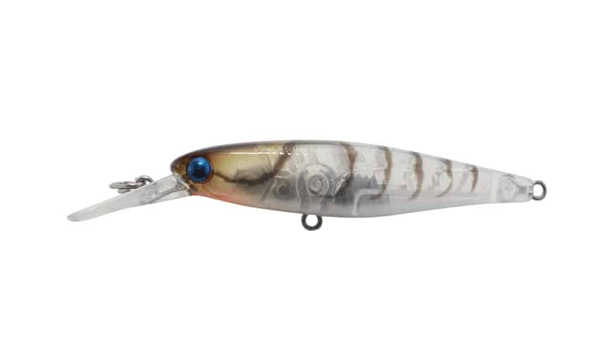 Jackall Squirrel 61SP Diver