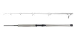 Daiwa TD Offshore Rods