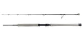 Daiwa TD Offshore Rods