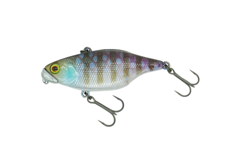 D-style Jackall TN50 Type D RS Rattle Lipless Crankbait