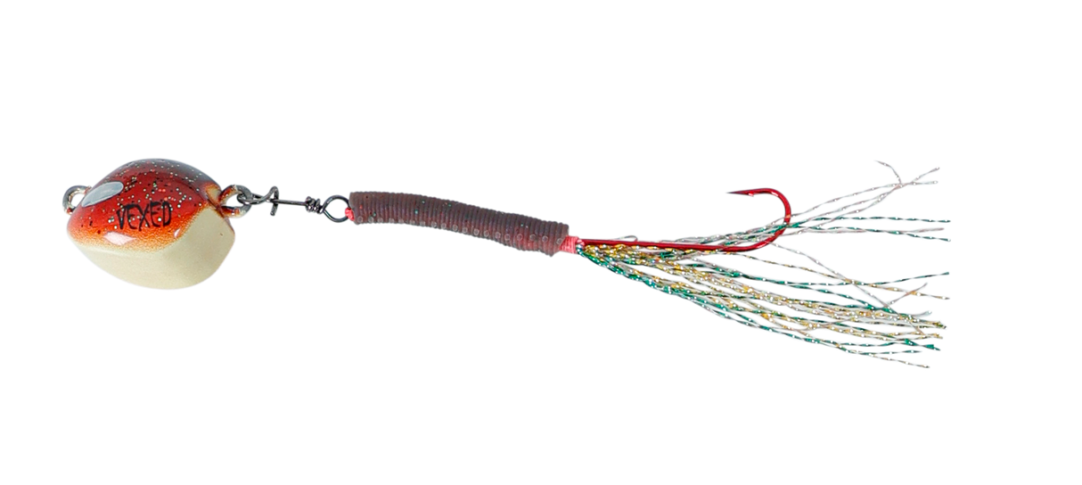 Vexed Bottom Worm Long Shank 5g Jig