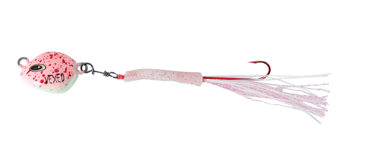 Vexed Bottom Worm Long Shank 5g Jig