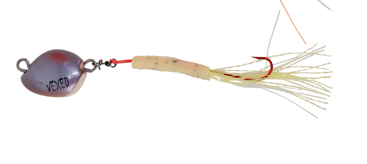 Vexed Bottom Worm Long Shank 5g Jig