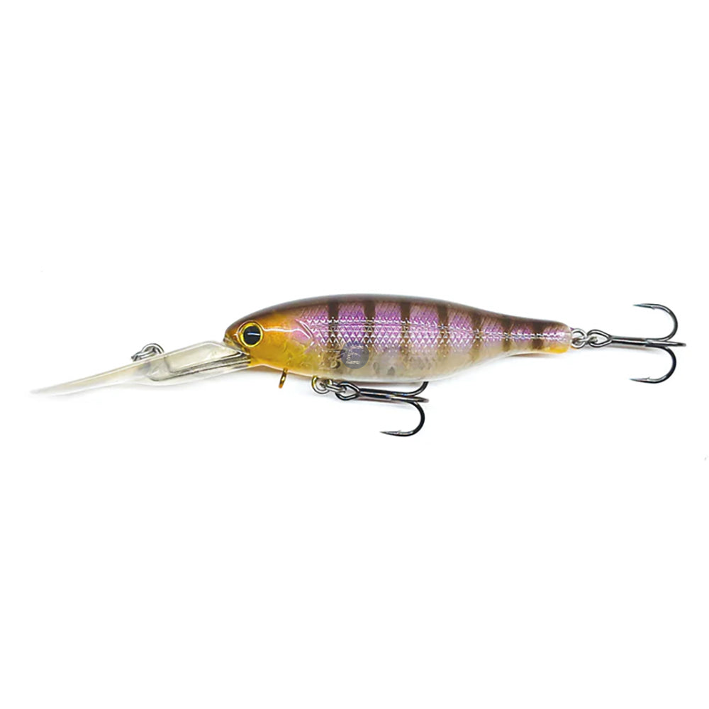 Barambah Boondi Bros 62 DSS
