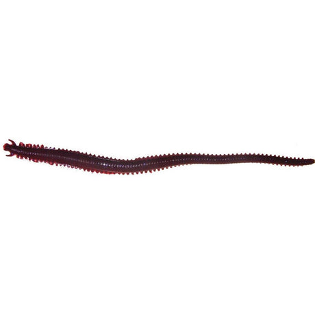 Berkley Gulp 6in Sandworm Plastics