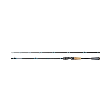 Shimano Instage Rods