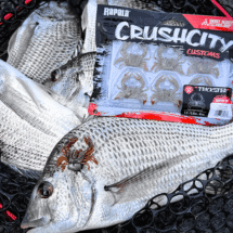 Rapala Crush City Trickster 1.5in Plastics