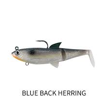 Molix Shad 120mm Rigged Plastic